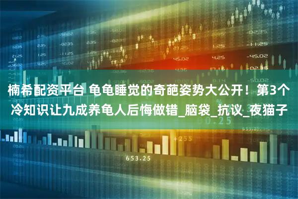 楠希配资平台 龟龟睡觉的奇葩姿势大公开!第3个冷知识让九成养龟人后悔做错_脑袋_抗议_夜猫子